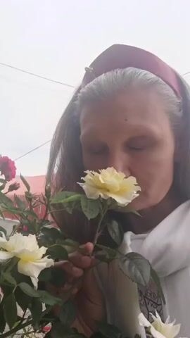 The media file shows a woman with gray hair, wearing a red headband and a white scarf. She is holding a rose bush with yellow and red roses. The woman is in front of a wall of roses, with a building visible in the background. The scene appears to be outdoors, possibly in a garden, with natural light suggesting it is daytime. The woman's expression is one of surprise or excitement, with her mouth open wide. There is no visible text in the media file. The location context provided is Lermontov, Russia.