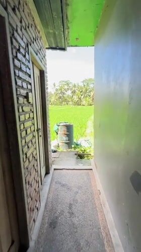 Tourist documents morning moments in Ubud rice field area
