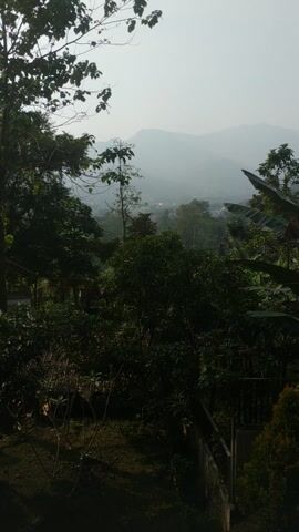 The camera looks through trees toward a foggy mountain. Below, in a park-like setting, are parked cars and flags.