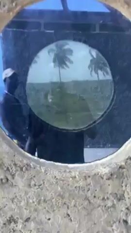 A man is standing in front of a circular window framed in a stone structure. The window displays an image of a tropical beach with palm trees, a grassy area, the ocean, and the sky. The man is wearing a light-colored baseball cap, a dark shirt, and blue and yellow floral swim trunks. The scene appears to be outdoors on a sunny day with a blue sky visible above the structure. The wind is blowing strongly, causing the palm trees in the window image to sway.