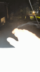 Late night backyard activity documented in Newburgh