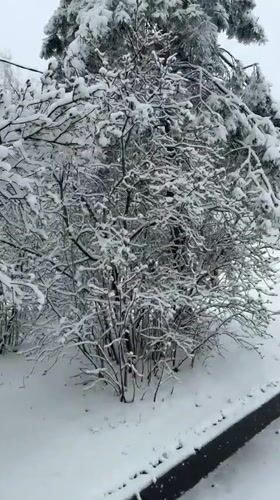Heavy April snowfall documented in Dmitrov, Russia