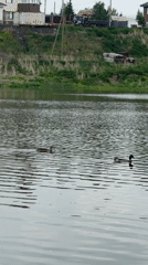 Early morning fishing trip draws families to Russian lakeside
