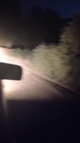 The video is a first-person perspective of someone driving at night on a dirt road. The headlights of the vehicle illuminate the path ahead, which is lined with trees and bushes. There are occasional glimpses of lights in the distance, possibly from other vehicles or buildings. The road appears uneven and bumpy, suggesting a rough terrain. The overall atmosphere is dark and somewhat eerie, typical of nighttime travel in a rural or unlit area.