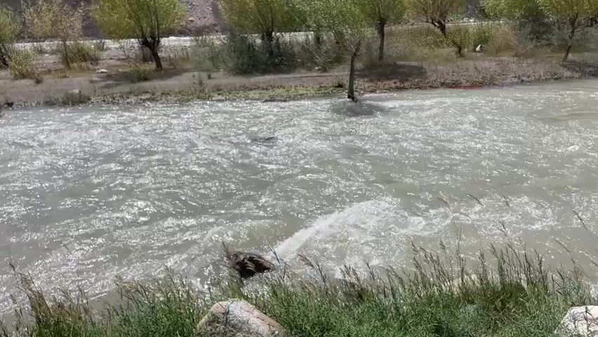 A wide, murky river flows rapidly. On the far bank, several trees with green leaves are visible, interspersed with dry brush. Behind the trees, a steep, rocky incline forms the background. In the foreground, dry grasses and some rocks line the riverbank. The camera pans slowly to the right.