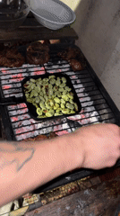 Backyard barbecue feast captured with grilled meats and vegetables