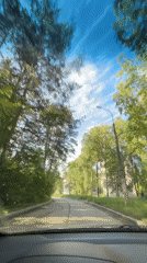 Early morning drive recorded on tree-lined street in Chaikovsky