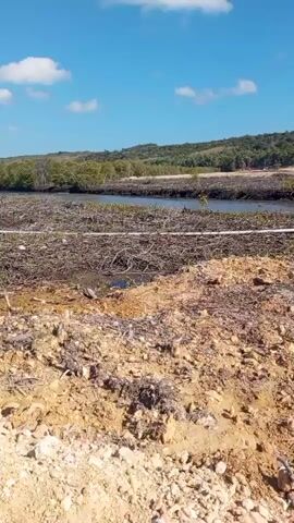 The video shows a body of water with trees on the far bank. In the foreground, the land is barren and covered with debris, including branches and what appears to be waste. A person wearing a blue shirt with reflective stripes and a tan fanny pack is partially visible on the left side of the frame. The sky is blue with scattered clouds. The overall scene suggests an area that has undergone significant environmental damage.
