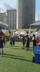 Evening scenes across Toronto's downtown civic core
