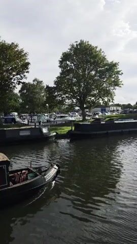 The video shows a canal with several narrowboats docked along the side. In the foreground, a dark-colored narrowboat with a red stripe is visible, with a person sitting on the back deck. In the background, more narrowboats are moored, and trees line the canal bank. The water is calm, reflecting the sky and the surrounding vegetation. The scene appears to be a peaceful, sunny day in a marina or canal basin.