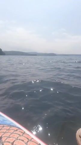 The video is a point-of-view shot from a paddleboard on a lake. The paddleboard is decorated with a colorful fish design. The water is choppy with sunlight glinting off the surface. In the distance, there are trees and buildings on a hillside. The sky is partly cloudy.
