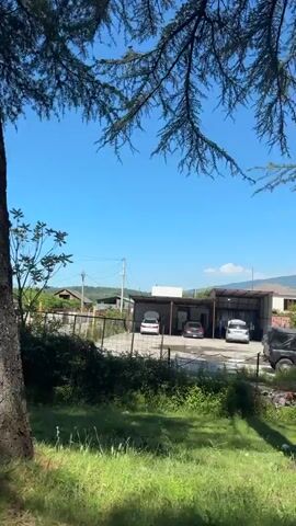The video captures a rural scene in Achadara, Abkhazia, on a bright, sunny day with a clear blue sky. The camera, likely from a moving vehicle, progresses along a road, showcasing the surrounding landscape.

Initially, a dirt road is visible, flanked by green grass and scattered houses with brown roofs in the distance. Overhead power lines crisscross the sky, and mountains form the backdrop. A partially visible white sign with yellow stripes stands on the right side of the road.

Around the 0:01 mark, the camera passes a large tree with a thick trunk, partially painted white at its base. Several brown cows, including two calves that appear to be interacting closely, are seen standing near the tree on the right.

As the video continues, the view opens up to more expansive green fields, fences, and additional houses nestled against the mountainous terrain. Street lights and various types of vegetation, including some palm-like plants, are visible. Another signboard, green in color, is briefly seen behind a fence on the left side of the road (text on both signs is unreadable). No people are visible throughout the video.