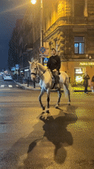 Horse rider and motorcycles share wet Saint Petersburg streets
