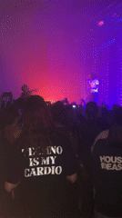Live concert draws crowds in Villeurbanne with colorful stage lighting