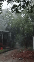 Torrential rainfall soaks rural forest paths early morning