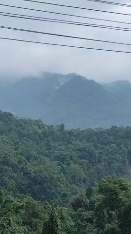 A wide shot shows a lush green mountain landscape on a cloudy day. The foreground is filled with dense trees, with branches and leaves obscuring the view slightly. The middle ground features more rolling hills covered in thick forest. In the background, larger mountains are visible, shrouded in mist and clouds, giving them a hazy, ethereal appearance. Power lines are strung across the top of the frame, stretching from left to right, adding a man-made element to the natural scenery. The overall atmosphere is serene and somewhat dramatic due to the overcast weather and the majestic scale of the mountains. There are no people or specific actions depicted in the video.