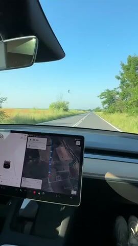 The video is shot from inside a car, looking out the front windshield. The car's dashboard and a large central display screen are prominent in the foreground. The screen shows a map application with a route highlighted, displaying fields and what appears to be a river or canal from a satellite view, alongside a smaller panel that shows a car icon and the number 88. A rearview mirror is visible at the top center. Outside the car, a straight, two-lane asphalt road stretches into the distance under a clear blue sky. On both sides of the road are extensive green and yellow fields, with scattered trees visible further away. The car appears to be driving on this road. Part of a person's feet in sneakers is visible on the right side of the frame. The video includes a faint sound of music.
