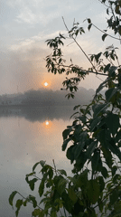 Misty sunrise draws crowds, colorful macaws at Da Lat lake
