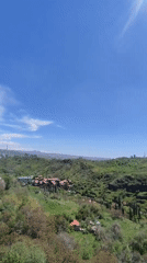 Spring scenes captured in Yerevan's green hills