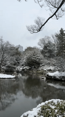 Winter snow blankets Minato City waterside landscape