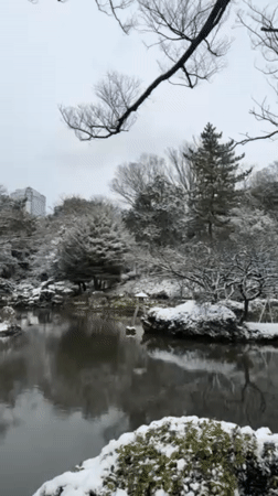 Winter snow blankets Minato City waterside landscape