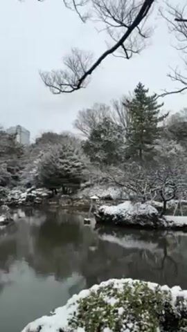 The video shows a snowy landscape with a calm body of water, possibly a pond or lake, reflecting the surrounding trees and sky. The trees are covered in snow, and in the background, there's a building with a spire or tower. The scene is quiet and serene, conveying a wintery, tranquil atmosphere.