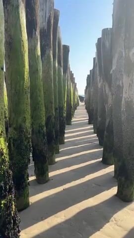 The video shows a perspective shot from a beach, looking down a line of wooden poles that are covered in green algae and barnacles. The poles are evenly spaced and create a sense of depth and perspective, drawing the viewer's eye towards the horizon. Sunlight casts long shadows across the sandy beach between the poles. The sky is clear and blue. In the distance, there are a few small figures that appear to be people, and possibly a building or structure. The camera appears to be moving slightly, possibly being handheld, and there are moments where the focus shifts, creating a shallow depth of field effect.