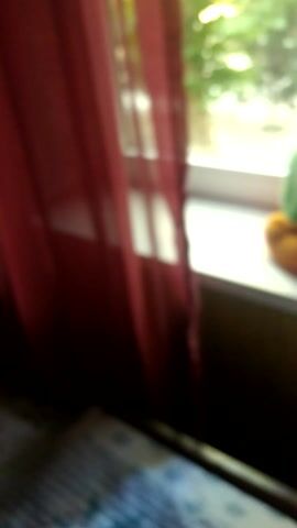 The video opens with a blurred view of a window. As the camera focuses, a colorful stuffed caterpillar toy, featuring a red head, orange body, and green segments, is seen resting on a white windowsill. Outside the window, lush green trees and a paved area are visible under bright daylight, suggesting an outdoor scene during the day. A person's hand, appearing to wear a light-colored glove, enters the frame. The hand gently touches and adjusts the stuffed caterpillar toy on the windowsill, lightly stroking its back and moving it slightly. No text is visible in the video. The setting appears to be indoors, looking out onto an outdoor environment. This activity takes place in Kokand, Uzbekistan.