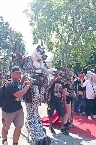 The video shows a procession with a large, detailed costume of a creature resembling a tiger or leopard. The costume is white with black spots and has large claws and a shaggy mane. It is being carried by several people. In the foreground, a man in a black t-shirt and shorts carries the costume on his shoulders. To his right, another person in a black t-shirt and shorts walks alongside the costume. A crowd of spectators watches the procession, some of whom are holding cameras or phones. The event appears to be taking place outdoors, with trees and buildings visible in the background. The overall atmosphere is festive, with people dressed in casual attire and some wearing head coverings. The ground is covered with a red carpet.