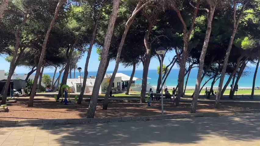 The video shows a park with tall pine trees in the foreground, casting shadows on a dirt path and a paved walkway. Beyond the trees, there is a glimpse of a sandy beach and the ocean. A few people are visible in the park: children on playground equipment, adults sitting on benches, and a woman standing and taking a photo. In the distance, there are some buildings, including what appears to be a restaurant or cafe, and a palm tree. The sky is clear and blue.
