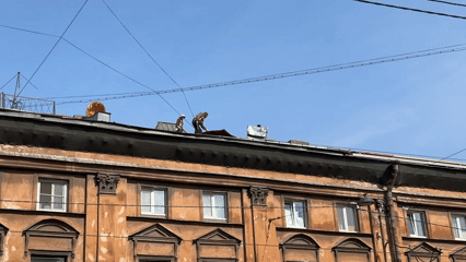 Morning routines documented across Saint Petersburg during early hours