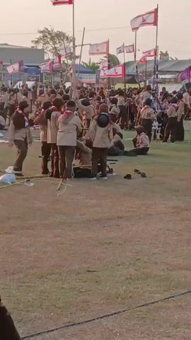 The video shows a large group of people, likely scouts, gathered in an outdoor grassy field. They are wearing brown and tan uniforms. In the center of the frame, a cluster of individuals is working together to erect a tall wooden structure, possibly a flagpole or a tent pole, using ropes and poles. Several flags with red and white designs are visible in the background, attached to poles and fluttering in the wind. Tents and other structures are also present in the distance, suggesting a campsite or event. The ground is covered in dry grass, and the lighting indicates it is either early morning or late afternoon, with a pale sky. Some individuals are seated or observing the activity, while others are actively engaged in the task. The scene appears to be an organized activity or competition.