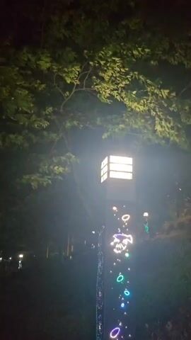 At night, a light post, adorned with colorful decorative lights and a white fish design, stands illuminated in the darkness. In the background, more light posts are visible along a path. Above, a tree with green leaves partially obscures the view, adding depth to the scene. The environment appears to be a park or outdoor space, with limited visibility due to the low lighting conditions.
