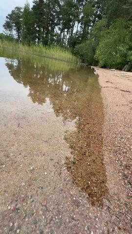 The video shows a body of water meeting a sandy shore. Trees and reeds are visible in the background, with the water reflecting the sky and vegetation. The camera is positioned low to the ground, focusing on the water's edge and the pebbles and sand on the shore. The water is clear, allowing the seabed to be seen. There are no people or animals visible in the video.