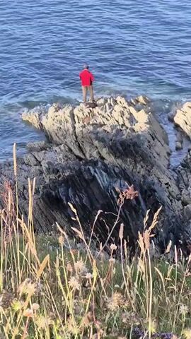 A person wearing a red jacket and brown pants stands on a rocky outcropping near the ocean. The person appears to be fishing, holding a fishing rod. Waves crash against the rocks. The foreground is filled with tall grass and wildflowers. The water is a deep blue, and the sky is a bright, clear blue.