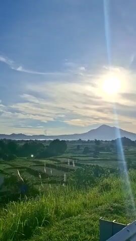 The video shows a sunrise over a rural landscape. The sun is bright and prominent in the upper right corner of the frame, casting a strong glare and lens flare. In the foreground, tall green grass and some white seed heads are visible, with dew drops glistening on the blades. Beyond the grass, there are tiered agricultural fields, possibly rice paddies, with green crops. In the mid-ground, trees and foliage form a green border. Further in the distance, a large, conical mountain is silhouetted against the sky, partially obscured by a light mist or haze. The sky is a bright blue with wispy white clouds. The overall scene suggests a peaceful, early morning environment in a cultivated agricultural area with a prominent mountain in the background. No people or animals are visible in the video.