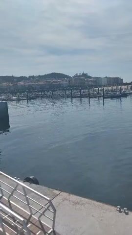The video shows a waterfront view of a harbor with numerous boats docked and sailing. The water is calm and blue, reflecting the sky. In the background, there are buildings and hills, suggesting a coastal town or city. The sky is partly cloudy with a bright sun, indicating fair weather. Some boats are stationary at the docks, while others appear to be in motion. A person is visible on a small boat in the middle of the harbor. The video pans across the scene, offering different perspectives of the harbor and its surroundings.