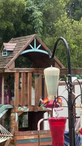 A hummingbird feeder hangs from a black metal pole in front of a wooden play structure. The play structure has a pitched roof, a balcony, and the name "Emily" is written on the side. A small bird is perched on the edge of the hummingbird feeder. The background is filled with green trees. The lighting suggests it is daytime, possibly overcast.