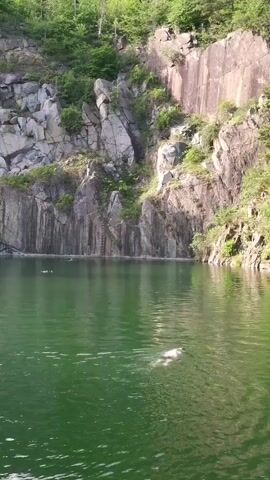 A wide shot captures a flooded quarry with steep, rocky grey and brown walls. Green trees and vegetation are visible at the top edges of the quarry walls, under a bright sky. The quarry water is a vibrant green. Two people are swimming in the water; one is closer to the camera, swimming on their back with their head and shoulders visible, while another is further in the distance, swimming face down. A ladder is visible on the rock face to the left.