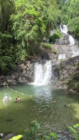 The video shows a multi-tiered waterfall cascading into a green-tinted pool surrounded by lush vegetation. Several people are swimming in the pool, which is partially demarcated by a rope with yellow floats. The water flows over rocky surfaces, creating white frothy streams. The environment is dense with trees, some bamboo, and other tropical plants, giving the scene a natural, secluded feel.