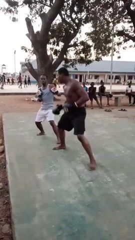 Two men are boxing barefoot on a concrete platform outdoors. The man on the left wears a grey tank top, white shorts, and blue boxing gloves, while the man on the right is shirtless in black shorts and black boxing gloves. They are sparring, throwing punches at each other. Behind them is a building with a blue roof and several people watching the boxing match, some seated on benches. A large tree with thick branches stands to the left of the boxers. The ground is mostly dirt with some grass. The lighting suggests it is daytime.