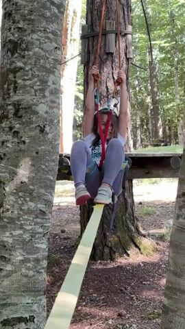 A young girl wearing a white t-shirt, gray leggings, and white sneakers with pink soles is seen in a video. She is also wearing a blue harness with red straps. She is suspended in the air, seated on a long, yellow slackline that stretches between two trees. Her hands are gripping two ropes that hang from a higher point on the tree to her right. The scene takes place in a forest with tall, mossy trees, indicating a natural, possibly recreational, setting. The lighting suggests it is daytime, with patches of sunlight filtering through the trees. The girl appears to be participating in an adventure course or a similar outdoor activity. There is no visible text.