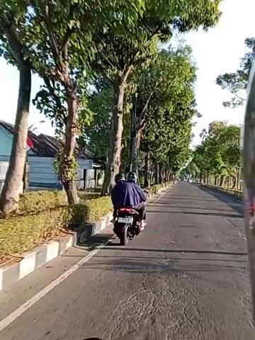 The video captures a point-of-view shot from a motorcycle traveling down a tree-lined road. In the foreground, two people are seated on the motorcycle, wearing dark clothing and helmets. The rider is in control, while the passenger is behind. The road is paved with asphalt and has a distinct white curb. Lush green trees line both sides of the road, casting shadows on the pavement. To the left, there are some low bushes and a white building with a dark roof, possibly a house or small establishment. A few cars are parked along the roadside on the left. The sky is bright, suggesting it is daytime. The overall impression is of a journey through a suburban or semi-rural area with significant greenery.