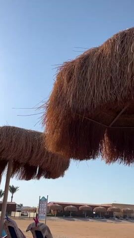 The video shows a low-angle view of two large straw umbrellas on a sandy beach. The umbrellas are positioned in the foreground, with their thatched tops filling much of the frame. In the background, the sky is clear and blue. Further in the distance, rows of similar straw umbrellas are visible, along with beach chairs and low buildings that appear to be part of a resort or hotel. Palm trees can be seen to the left of the frame. The overall scene depicts a sunny day at a tropical or subtropical beach resort. There are no people visible in the frame, and no actions or interactions are occurring.