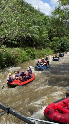 Several inflatable rafts, each carrying multiple people wearing helmets and life jackets, navigate a river with swift, muddy water. Lush green vegetation lines the banks of the river. People in the rafts are paddling. The rafts are in both red and blue colors.  A bridge is visible in the foreground.  One person on a red raft near the bridge appears to be kneeling and adjusting something.