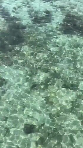 Karimunjawa, Indonesia