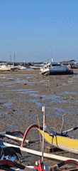 Low tide strands diverse boats on Indonesian mudflats