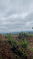 Hillside view captured of green Nigerian landscape