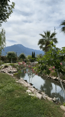 Serene waterway with pink flowers captured in Fethiye park
