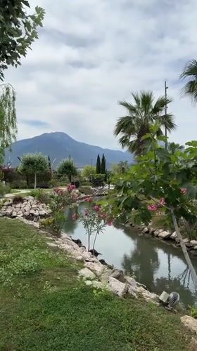 Serene waterway with pink flowers captured in Fethiye park